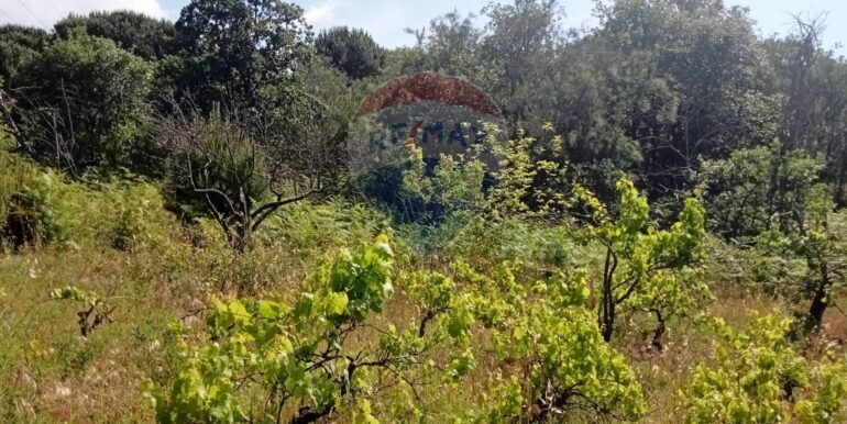 20250609155530-956397-12