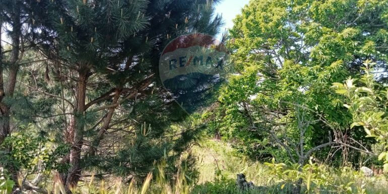 20250609155533-956397-13