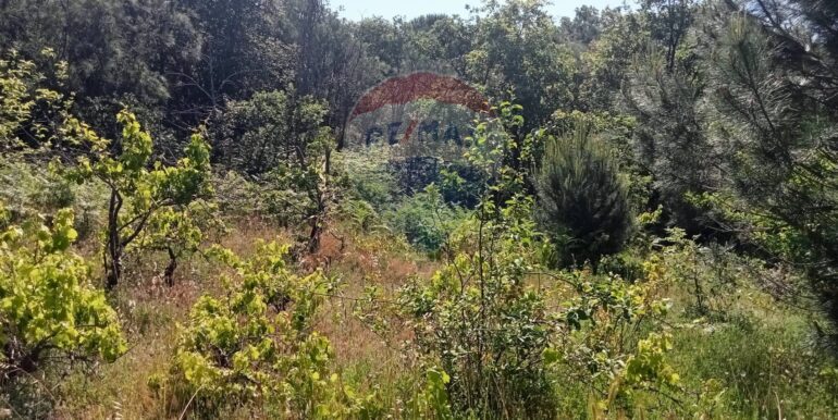 20250609155536-956397-14