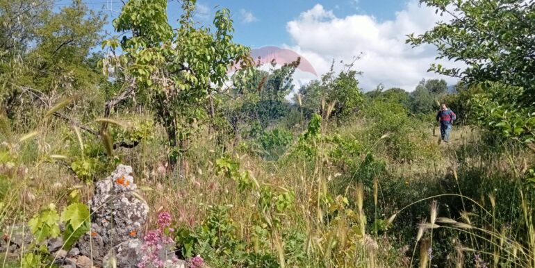 20250609155539-956397-15