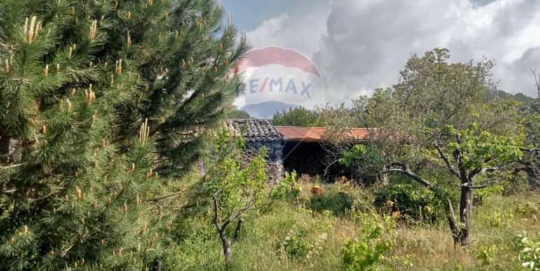 20250609155553-956397-20