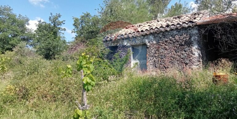 20250609155556-956397-21