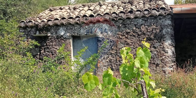 20250609155621-956397-29