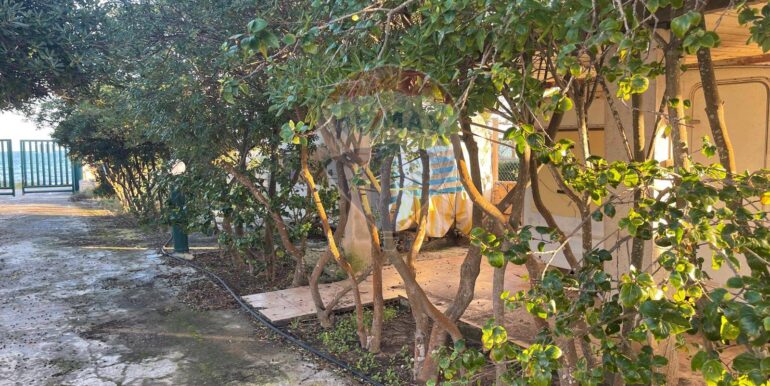 20250612121942-958112-3