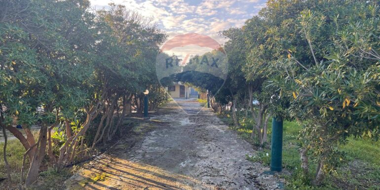 20250612121943-958112-7