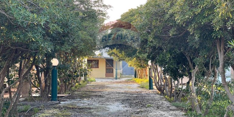 20250612121944-958112-11