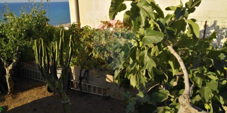 20250617172914-959159-2