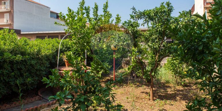 20250620103040-958327-10