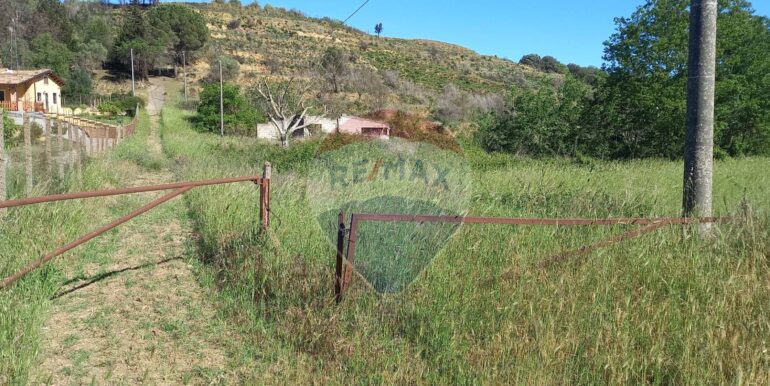 20250625113135-962058-2