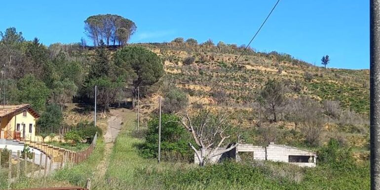 20250625113137-962058-7