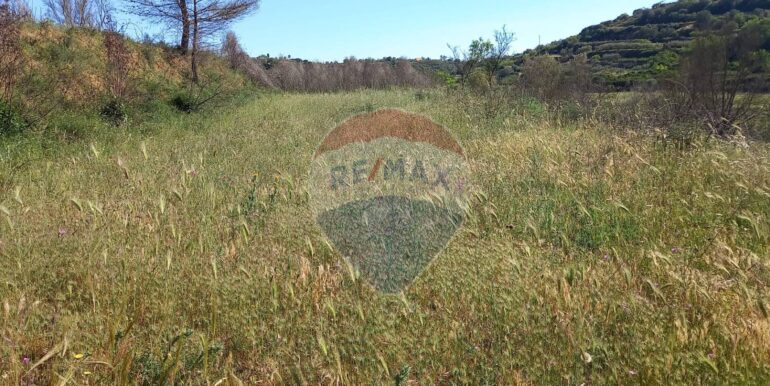 20250625113138-962058-9