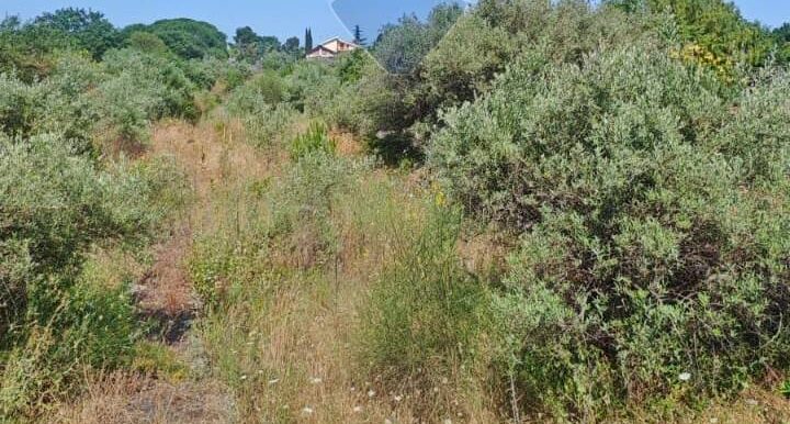 20250630105038-961443-2