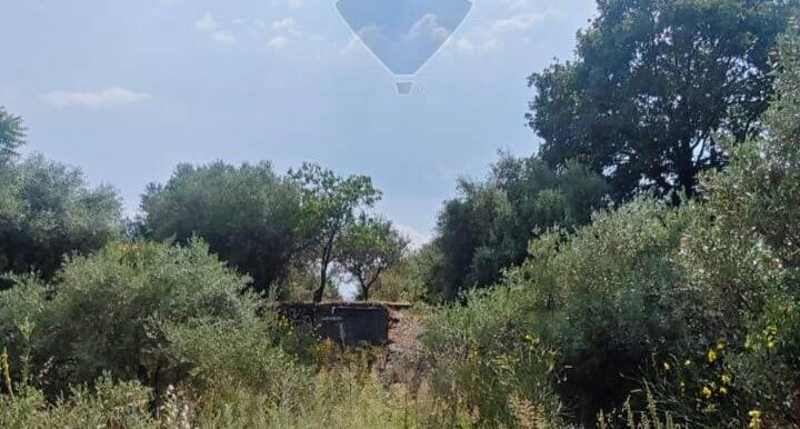 20250630105040-961443-3