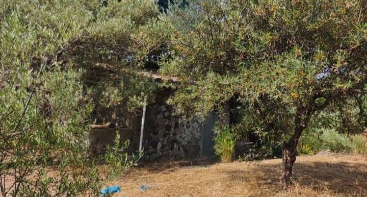 20250630105044-961443-5