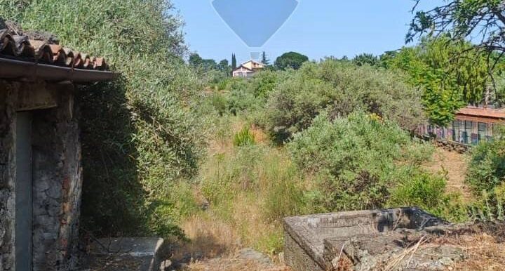 20250630105045-961443-6