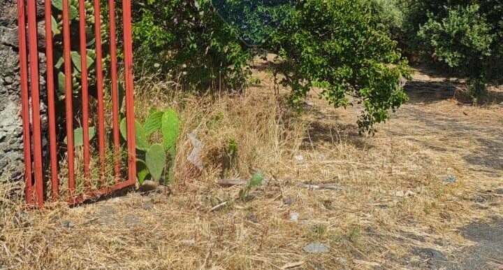 20250630105048-961443-8