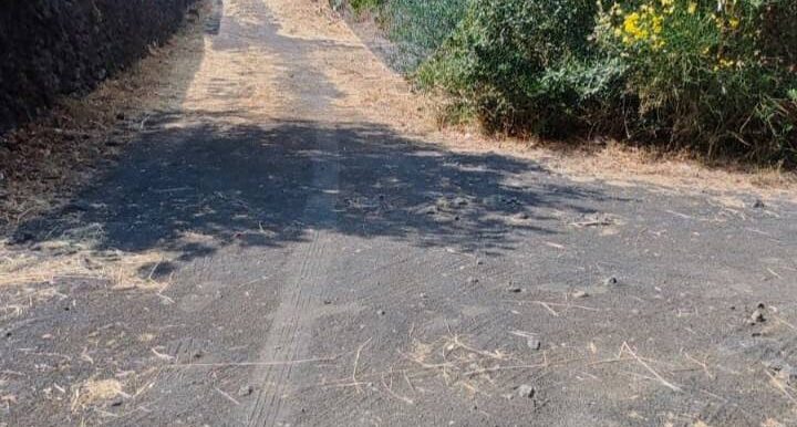 20250630105052-961443-10