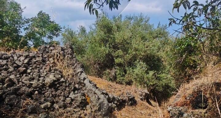 20250630105056-961443-13