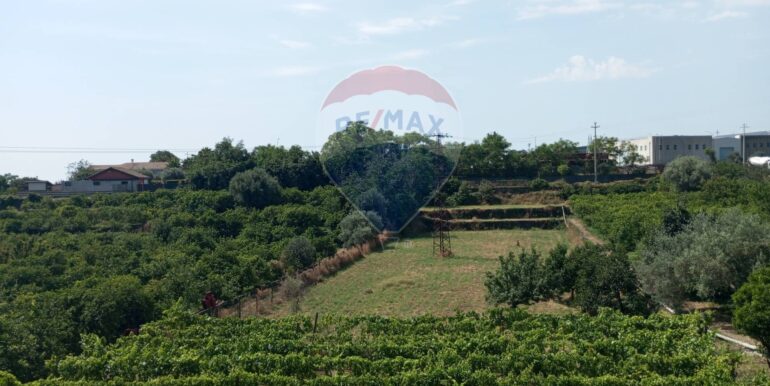 20250630121800-963407-8