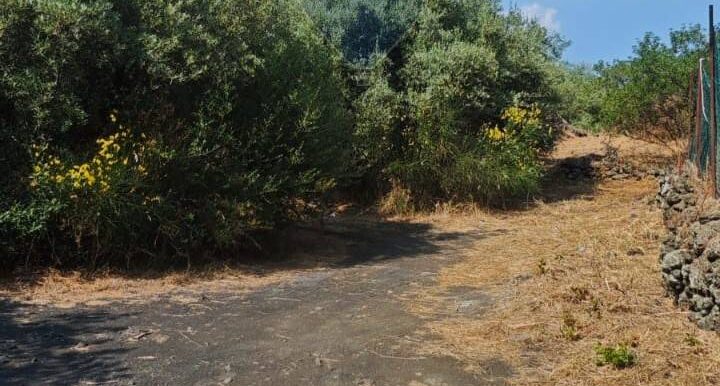 20250630125531-963427-0