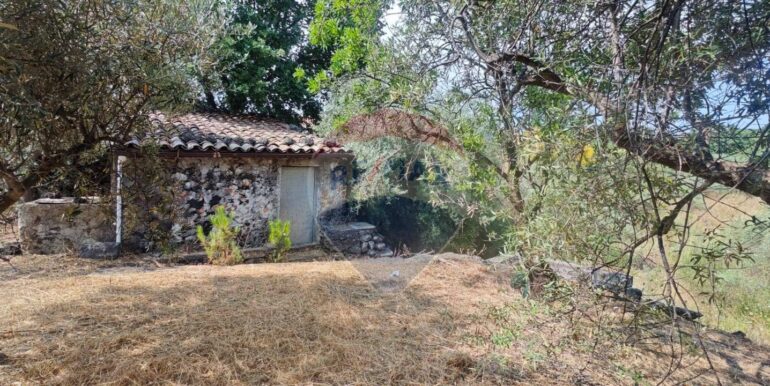 20250630125532-963427-3