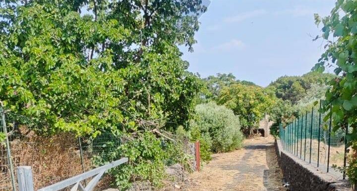 20250630125533-963427-10