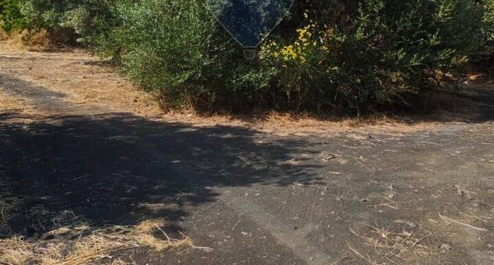 20250630125533-963427-11