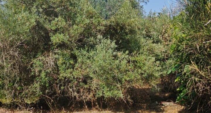 20250630125533-963427-13