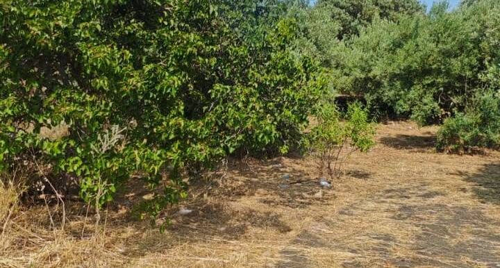 20250630125533-963427-8