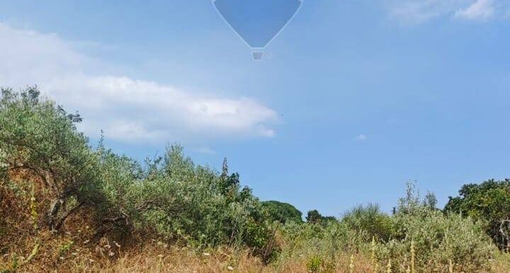 20250630125534-963427-15