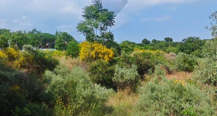 20250630125534-963427-16