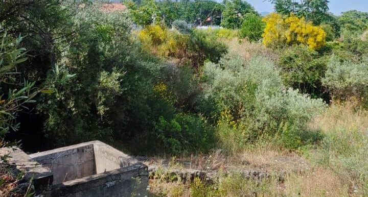 20250630125534-963427-17