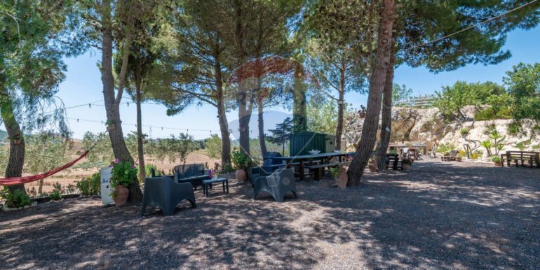 20250709124601-933488-9