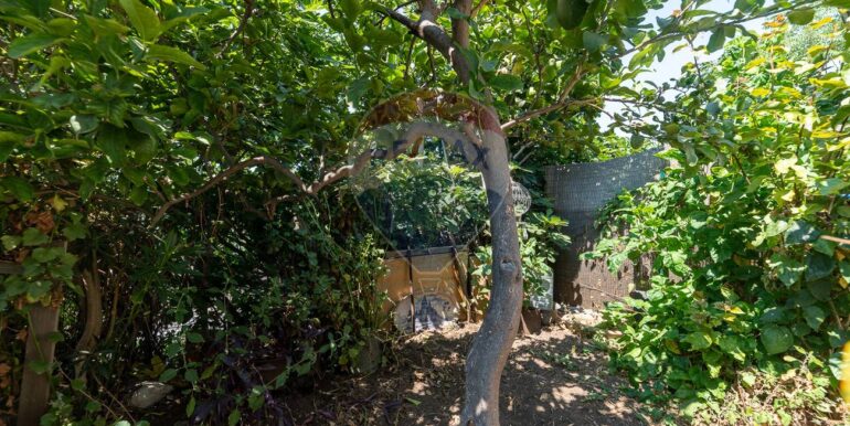 20250709190613-966065-8