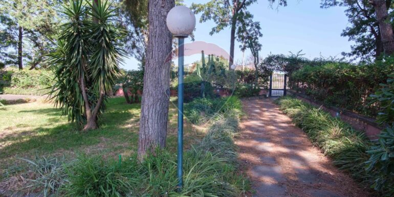 20250716131108-967051-6