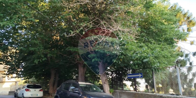 20250721233956-969730-5