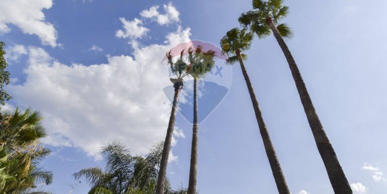 20250722102147-969142-18