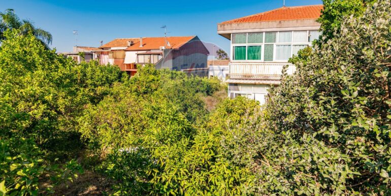 20250722185309-971091-9