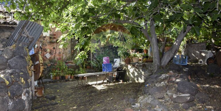 20250725122613-971530-5