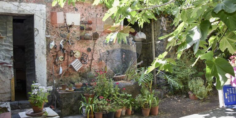 20250725122618-971530-6