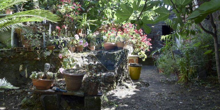 20250725122630-971530-9