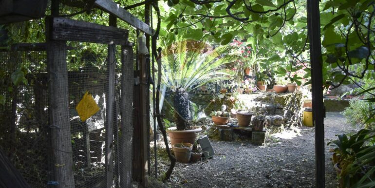 20250725122714-971530-20