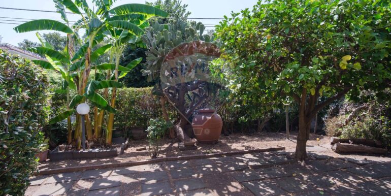 20250725144216-971555-8