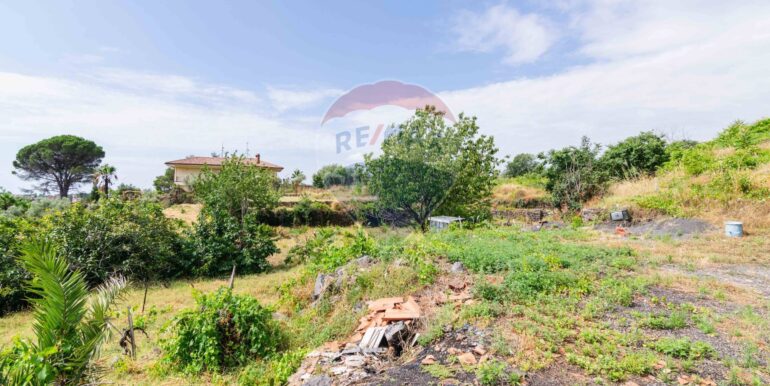 20250725183705-971965-10