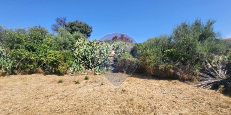 20250729163907-972354-3