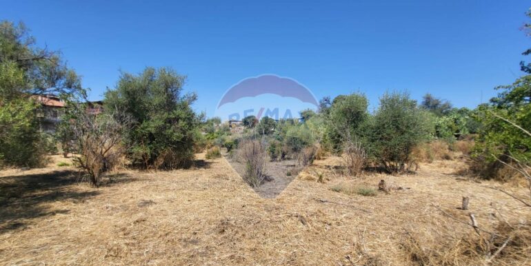 20250729164019-972354-4