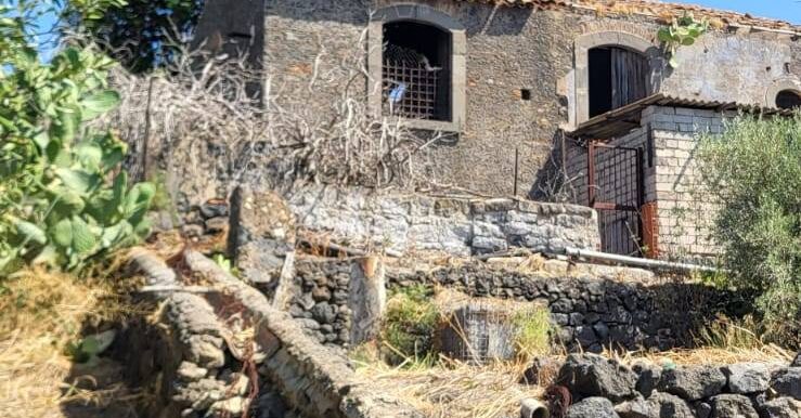 20250729164021-972354-5