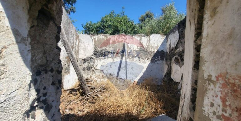 20250729164024-972354-6