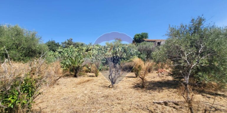 20250729164026-972354-7