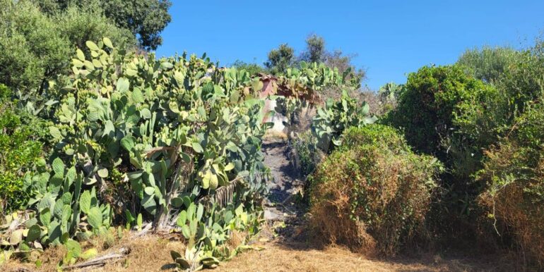 20250729164030-972354-8